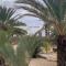 Dar Bolte Djerba