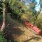 Whispering Deodar Heaven
