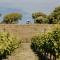 Villas & Vines Glamping