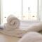 Air Maison - Stunning Beach Front Apartment