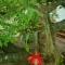 Garden Paradise Siochain House - Carterton