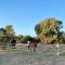 Rammed Earth Retreat - Wagin