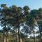 Borgo 28 Gramado