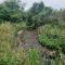 Garden Paradise Siochain House - Carterton