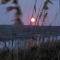 Harbor Island D112 - Oceanmarsh Subdivision