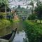 Village of Blossom