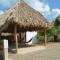 Wild Waves Surf-House
