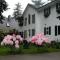 Foto: Belle Vue Bed and Breakfast 4/28