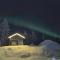 Lapland Aurora cabin - Рованиеми