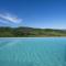 Villa Chianti with infinity pool and vineyard view