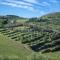 Villa Chianti with infinity pool and vineyard view