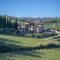 Villa Chianti with infinity pool and vineyard view