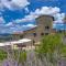 Villa Chianti with panoramic pool on the vineyard