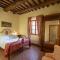 Villa Chianti with exclusive pool and typical barn