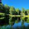 Woods Upon a Time Remodeled Cabin with Fireplace, Pond View & Firepit - Your Getaway Story Awaits!