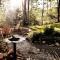 Woods Upon a Time Remodeled Cabin with Fireplace, Pond View & Firepit - Your Getaway Story Awaits!