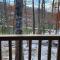 Woods Upon a Time Remodeled Cabin with Fireplace, Pond View & Firepit - Your Getaway Story Awaits!