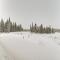 Custom Kasilof Cabin on 40 Private Acres - Kasilof