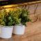Exclusive Apartment in Katowice with Balcony, Parking, Gym and Sauna by Noclegi Renters
