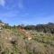 Praveens Wood house Kodaikanal Vattakanal