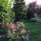 Appelboom
