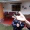 EColodge Ccatan