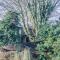 Lowen Tree House