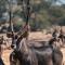 Omaruru Game Lodge