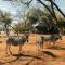 Omaruru Game Lodge