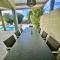 6 bdrm Villa and private Pool Gated Community 1 mile from Palm Beach
