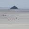 Superbe Maison en baie du Mont St Michel