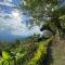 Andino Glamping