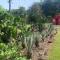 Rancho 3 marias