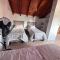Casa Estivariz Madryn