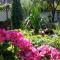Keremidchieva Kushta Guest House