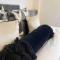 Streatham Studio