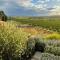 Luxury cottage with stunning vineyard views - Renwick