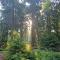 Artz of Nature