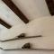 HAUS BRAILEN in Brilon Alme