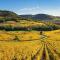 L'Alambic à Martial - Ménétru-le-Vignoble