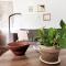 *Homey & Beautiful-Self Check In-Ypsilanti Historic District