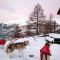 Chalet dalpage Le Lauzeron