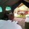 Wilderness Glamping Tents