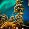 Arctic Lodges Lapland Ski In Family Studio, Wi-Fi, National Park - Lapland Villas - 普哈圣山