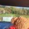 Glamping Pod Thady Killynick County Fermanagh - Killyhevlin