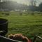 Killynick Glamping Oiney Fishing County Fermanagh