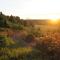 Ferienhaus Sonne Harz und Sterne