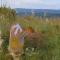Peaceful Mountain Cottage :Hikes/Boma/Animals/Pool