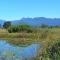 Vennebos cottages - Knysna