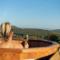 Káli Vineyard Estate